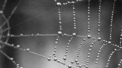 Silver You The best grey walls see let