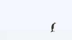 Simple abstract Penguins white background