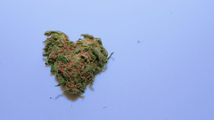 Simple Background love Hearts