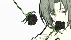 Simple Background Sakura Kaeda