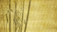 Simple bamboo backgrounds drawings oriental digital art