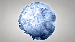 Simple geometry minimalistic