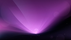 Simple leopard Aurora colorful walls some aqua