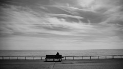 Sitting black white nature