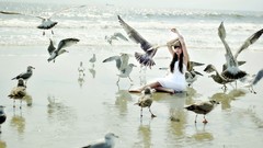 Situation woman Birds waves seagulls long hair brunettes 