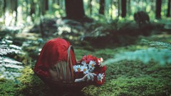 Situations Little Red Riding Hood