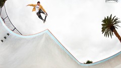 Skateboarding skates