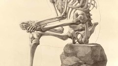 Skeleton Art Bones body human anatomy