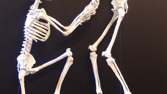 Skeletons