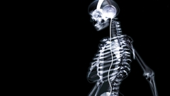 Skeletons skeletal headphones