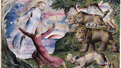 Sketches artwork drawings Lions