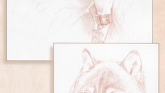 Sketches illustrations artwork