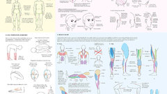 Sketches infographics drawings faces