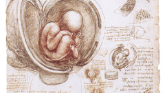 Sketches Leonardo da Vinci