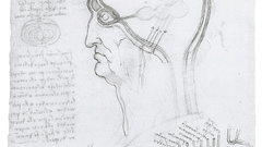 Sketches Leonardo da Vinci