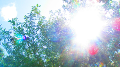 Skies Good Stuff what