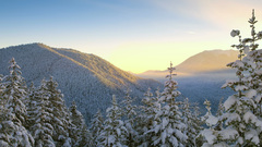 Skies winter snow landscape