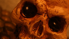 Skull golden high jewels Resolution blackasroses