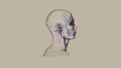 skull Minimalism artwork People anatomy Simple Background head