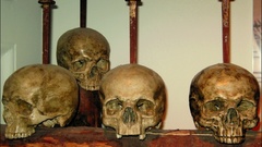Skulls