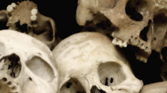 Skulls