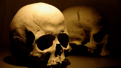Skulls