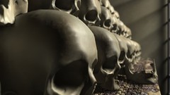 Skulls