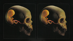 Skulls black Music dark