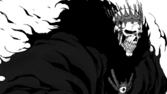 Skulls bleach Espada Baraggan