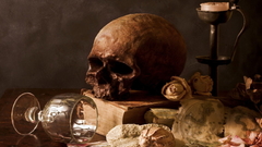 Skulls Books Maps seashells