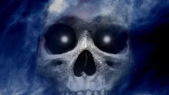 Skulls burning artwork