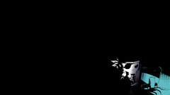 Skulls Computers pirates computer