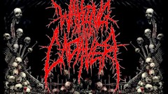 Skulls deathcore music bands Waking The Cadaver