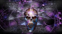 Skulls DMT vision Alex