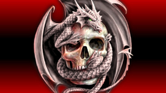 Skulls Dragons