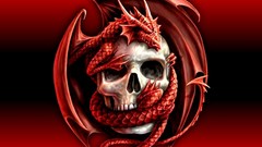 Skulls Dragons