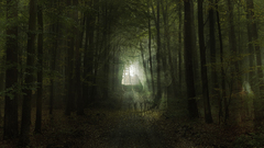 Skulls forests Photo manipulation