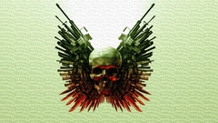 Skulls Guns the expendables