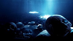 Skulls high Resolution