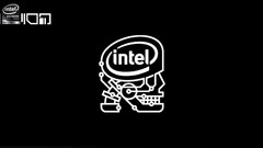 Skulls intel logos