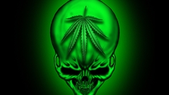 Skulls marijuana