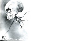 Skulls minimalistic Monsters drawings