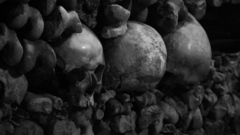 Skulls monochrome