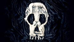 Skulls nude