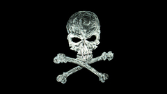 Skulls pirates
