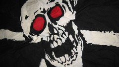 Skulls pirates