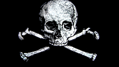 Skulls pirates Bones