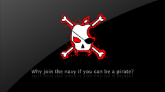 Skulls pirates skull and