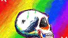 Skulls rainbows