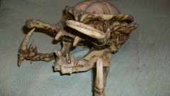 Skulls sculptures alien